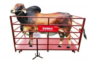 Sumo Animal Scale 500kg